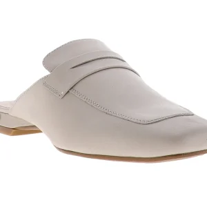 Zapatos Vicenza 1561 Para Mujer