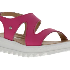 Sandalias Elefante 12512 Para Niña