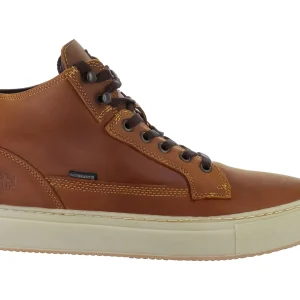 Zapatos Swissbrand 291 Para Hombre