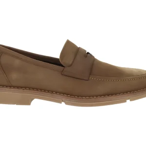 Zapatos Gino Cherruti 1312 Para Hombre