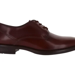 Zapatos Gino Cherruti 1814 Para Niño