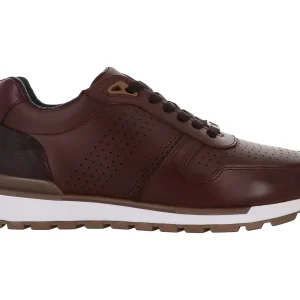 Tenis Vertical 5301 Para Hombre