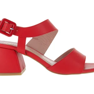 Zapatillas Antonie 798 Para Mujer