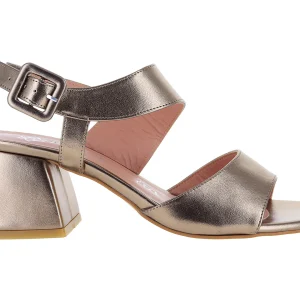 Zapatillas Antonie 798 Para Mujer