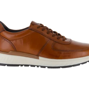 Zapatos Gino Cherruti Zapato Miel Caballero 3701 Para Hombre