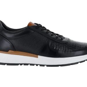 Zapatos Gino Cherruti Zapato Caballero 3700 Para Hombre