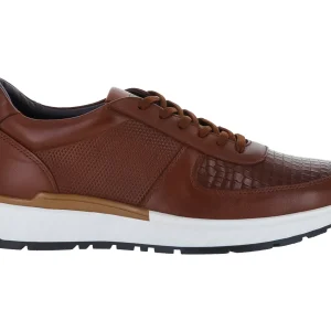 Zapatos Gino Cherruti Zapato Cafe Caballero 3700 Para Hombre