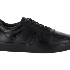 Zapatos Gino Cherruti Zapato Caballero 4805 Para Hombre