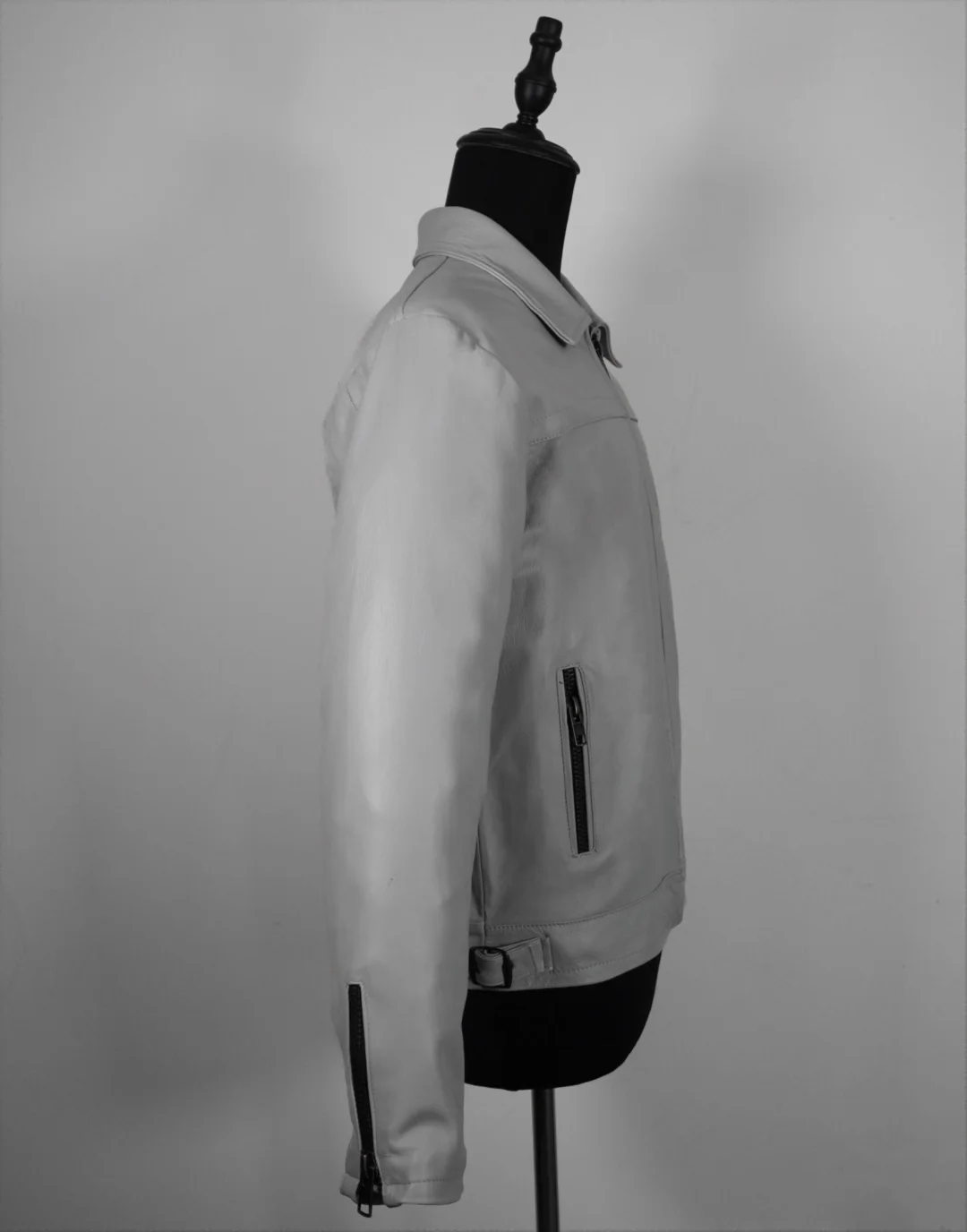 Arctic hueso - Imagen 3