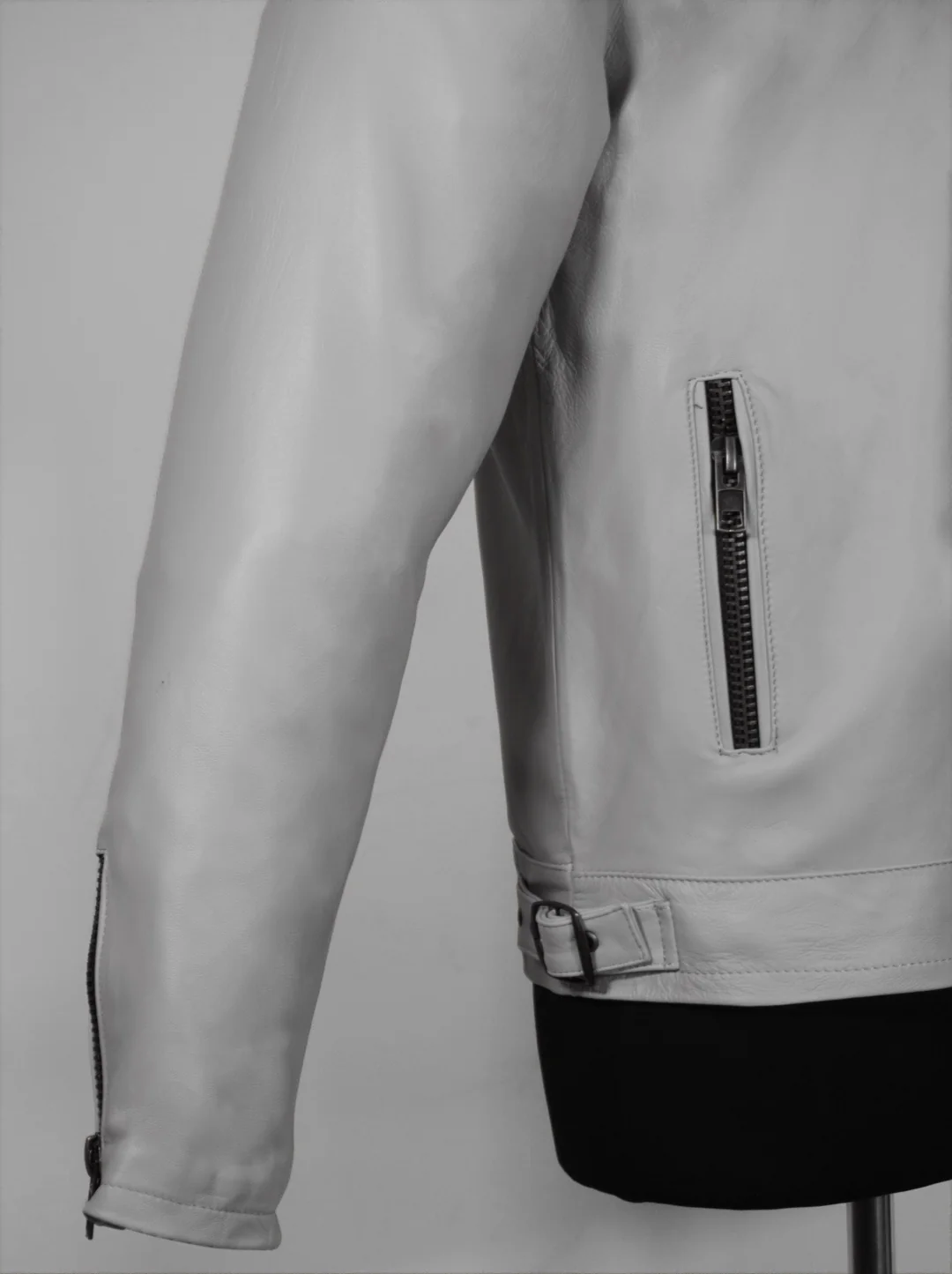 Arctic hueso - Imagen 5