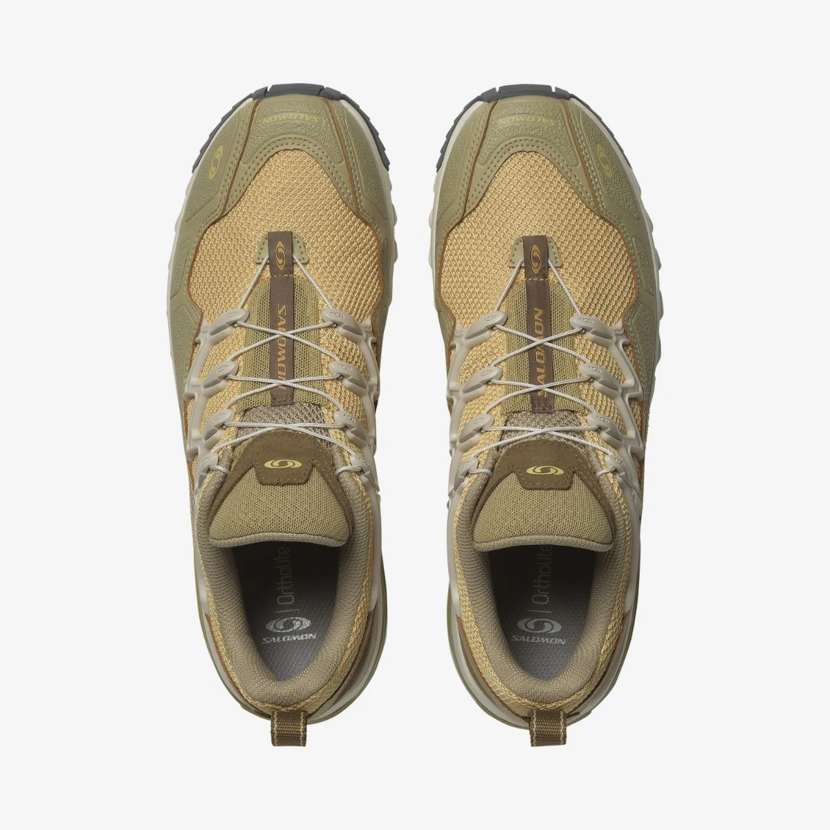 ACS + SEASONAL - Imagen 5