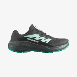 ALPHAGLIDE GORE-TEX W