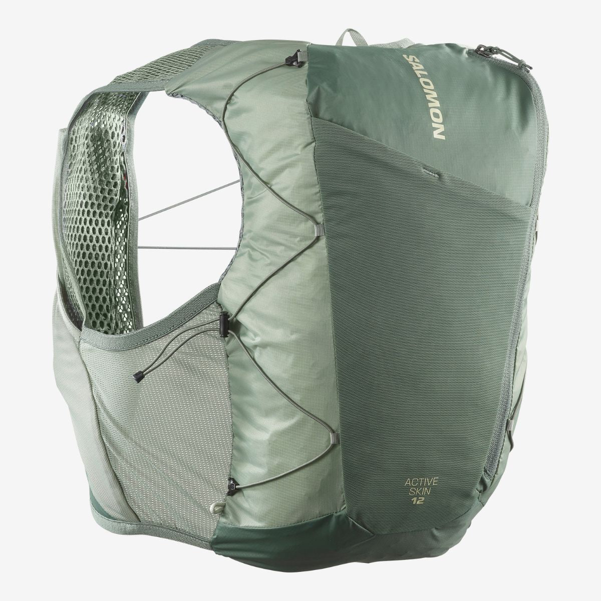 ACTIVE SKIN 12 NO FLASKS